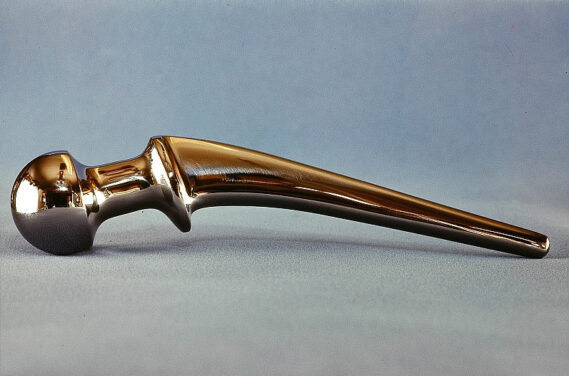 Hip joint