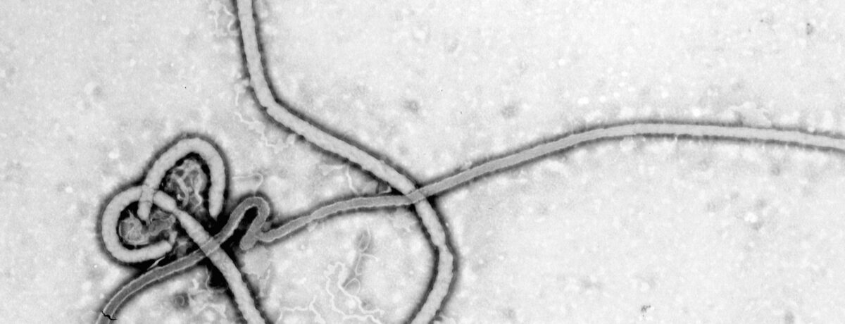 Ebola