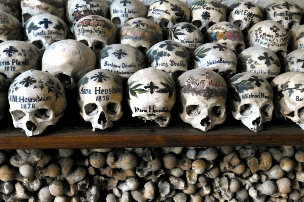 Bones