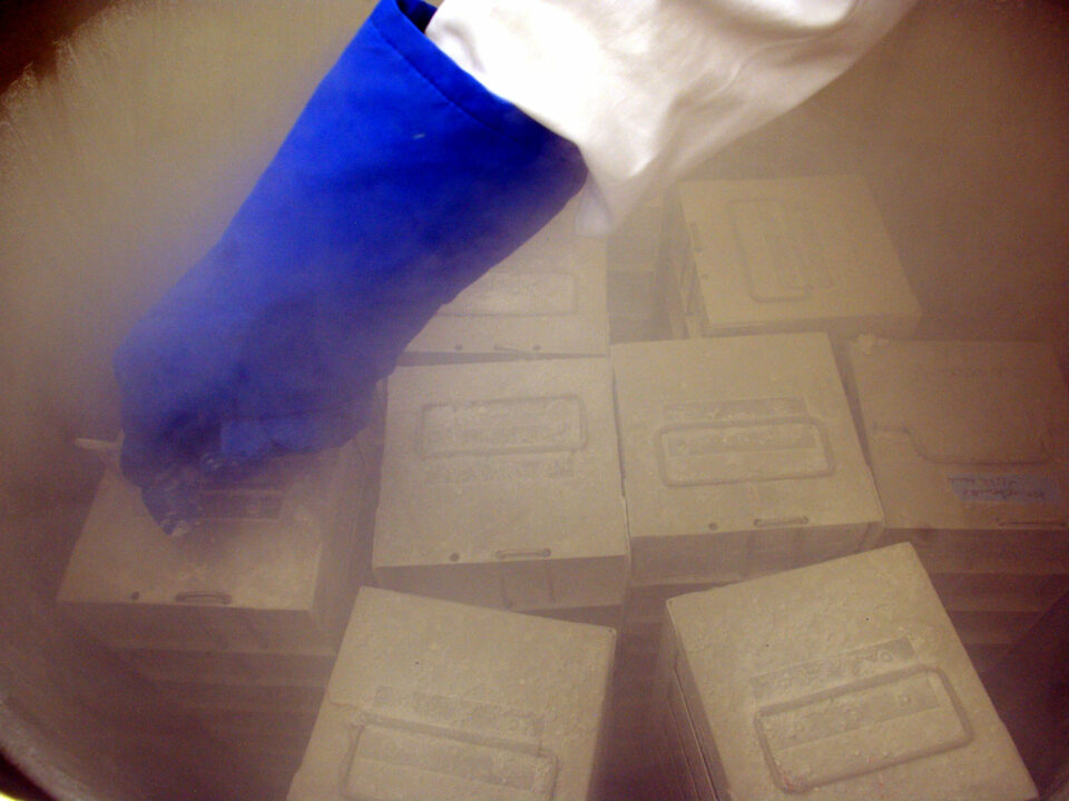 Liquid nitrogen