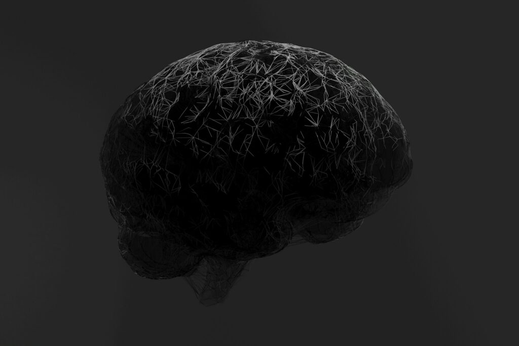 brain