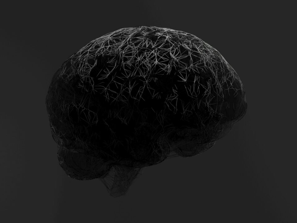 brain