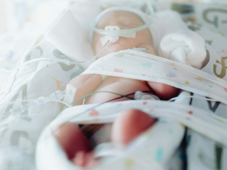 incubator