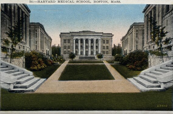 Harvard Medical School