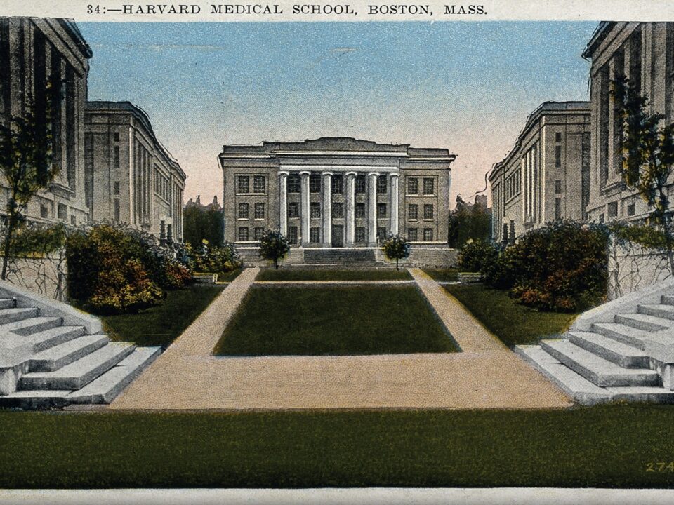 Harvard Medical School