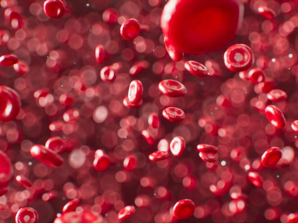 bloodcells