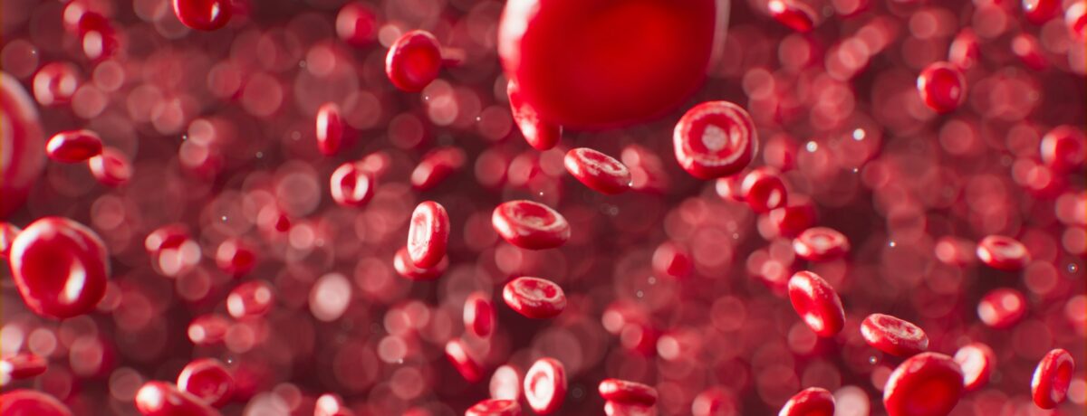 bloodcells