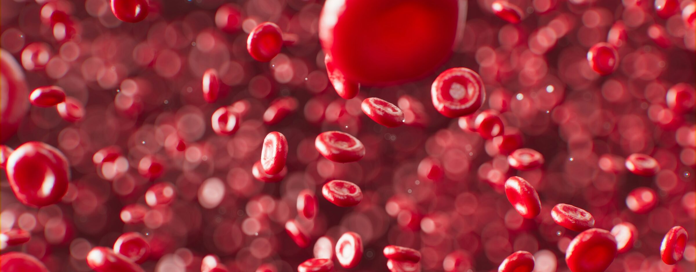 bloodcells