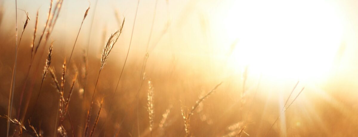 sun