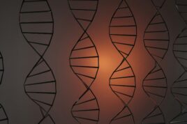 genetic