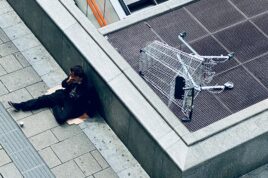 Vienna poverty